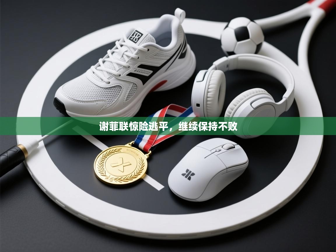 开云直播-谢菲联惊险逃平,继续保持不败 第3张