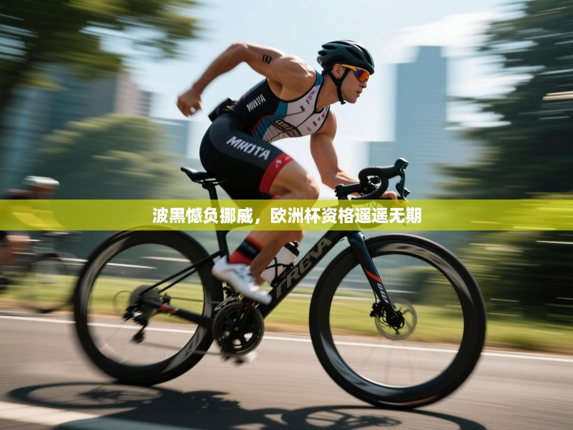 开云客服-波黑憾负挪威，欧洲杯资格遥遥无期  第2张