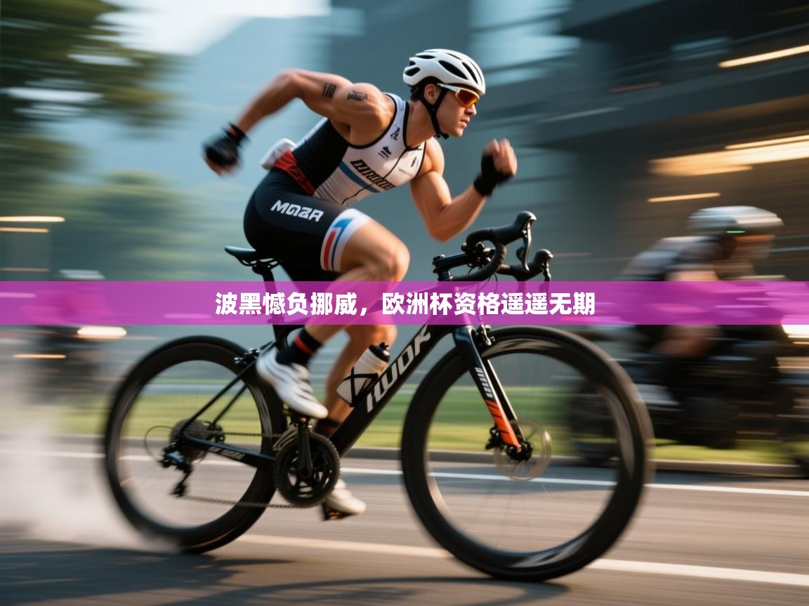 开云客服-波黑憾负挪威，欧洲杯资格遥遥无期  第1张
