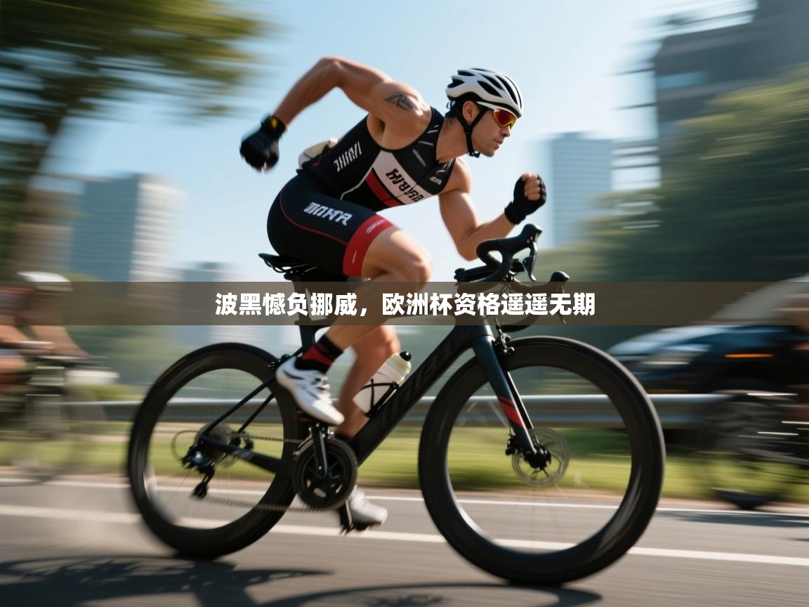 开云客服-波黑憾负挪威，欧洲杯资格遥遥无期  第3张
