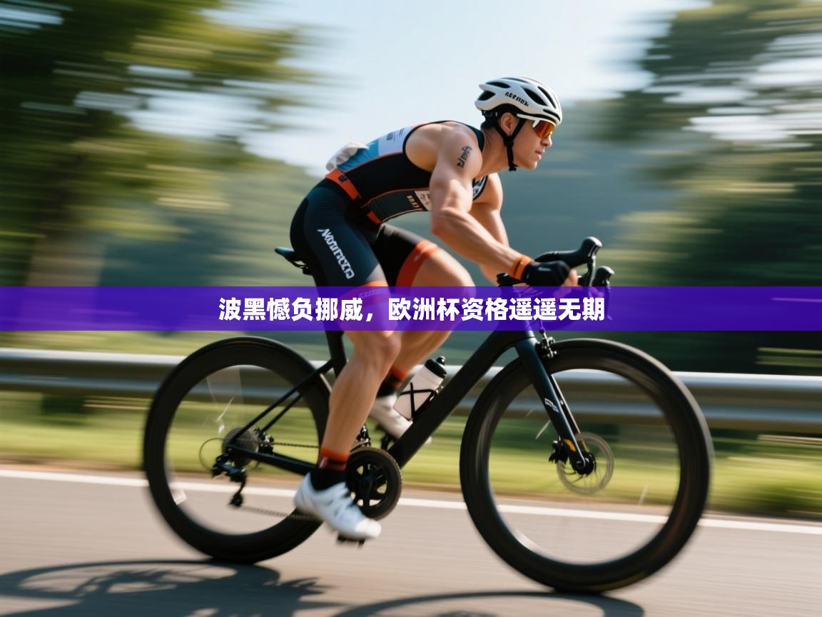 开云客服-波黑憾负挪威，欧洲杯资格遥遥无期  第4张