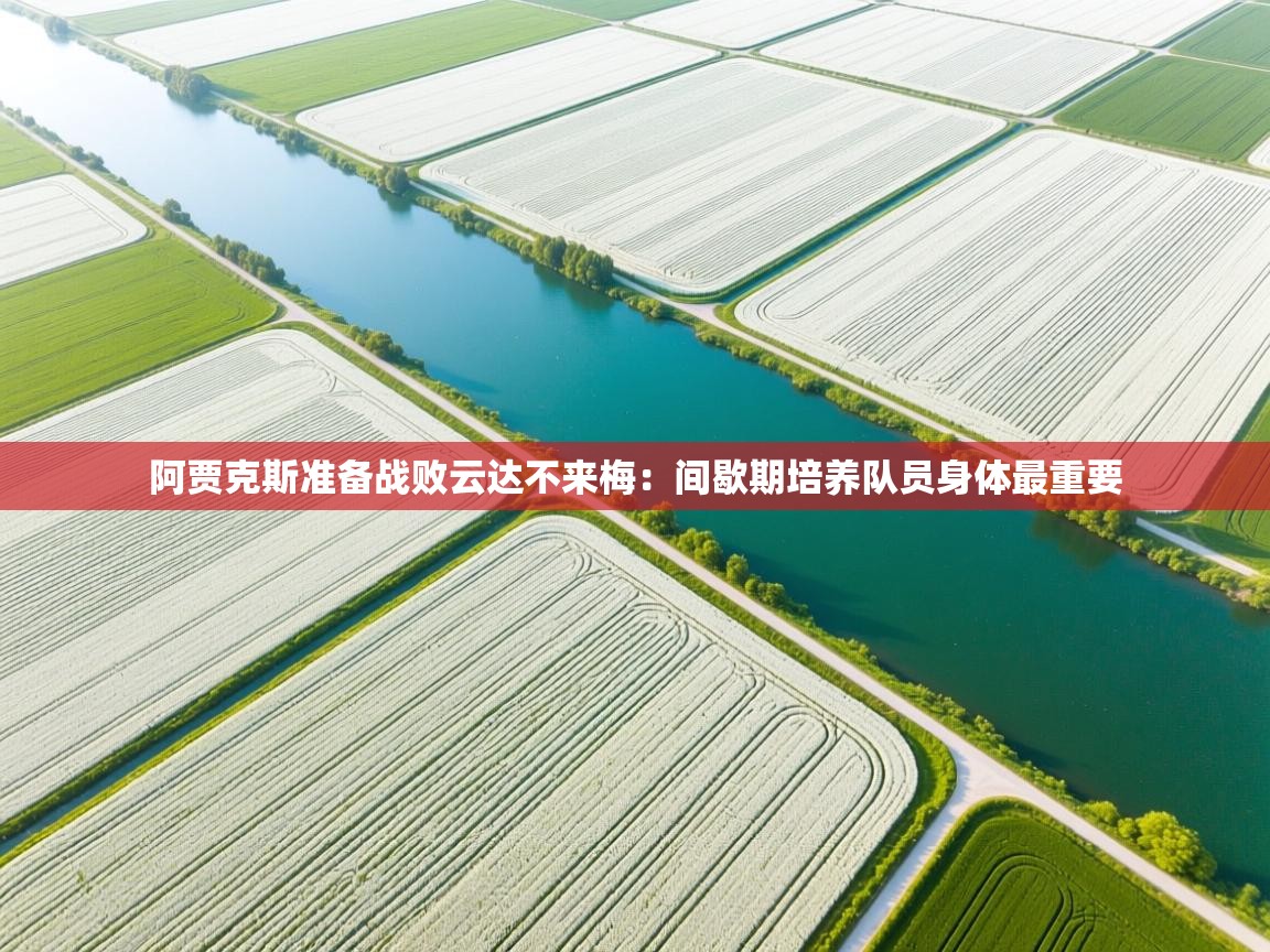 开云体育VIP权益说明-阿贾克斯准备战败云达不来梅:间歇期培养队员身体最重要 第3张