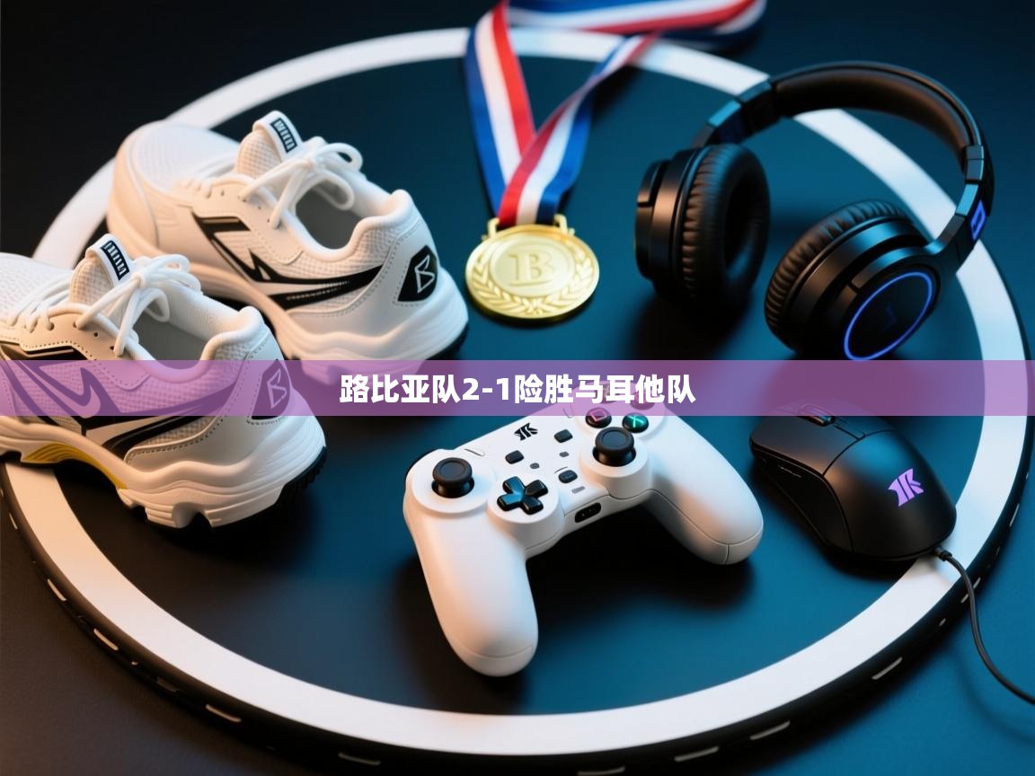 开云客服-路比亚队2-1险胜马耳他队  第3张