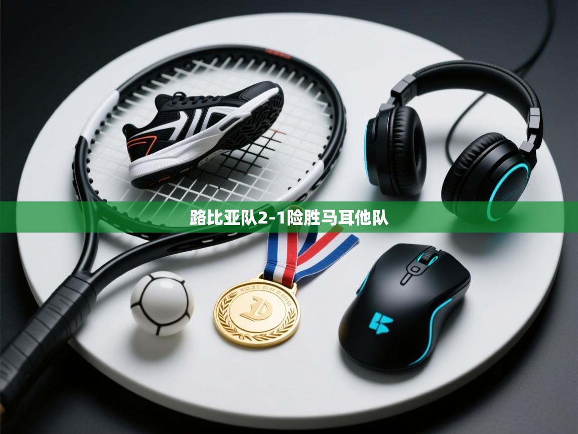 开云客服-路比亚队2-1险胜马耳他队  第4张