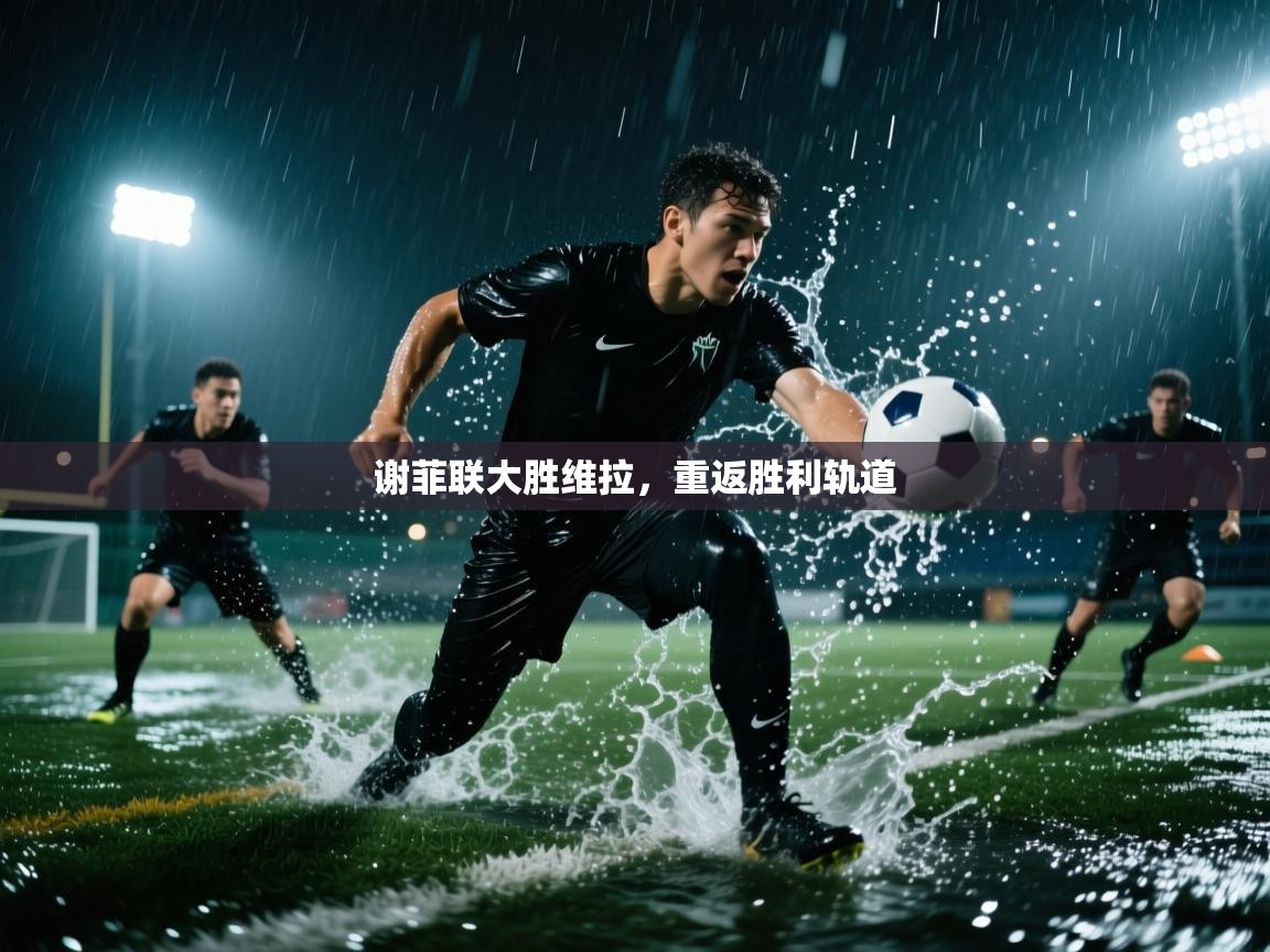 开云体育安装失败怎么办-谢菲联大胜维拉，重返胜利轨道  第2张