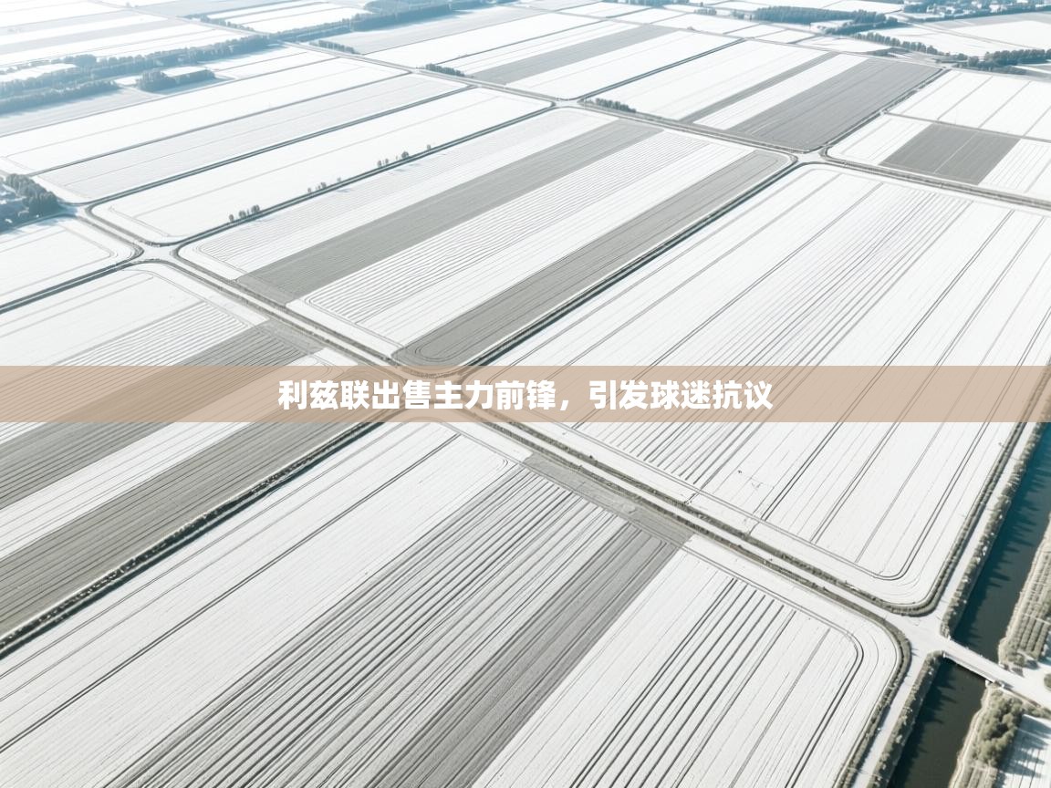 开云邀请码-利兹联出售主力前锋，引发球迷抗议  第1张