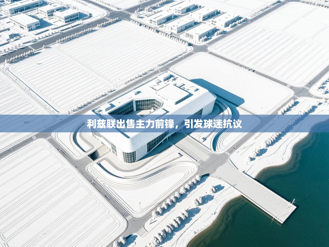 开云邀请码-利兹联出售主力前锋，引发球迷抗议  第3张