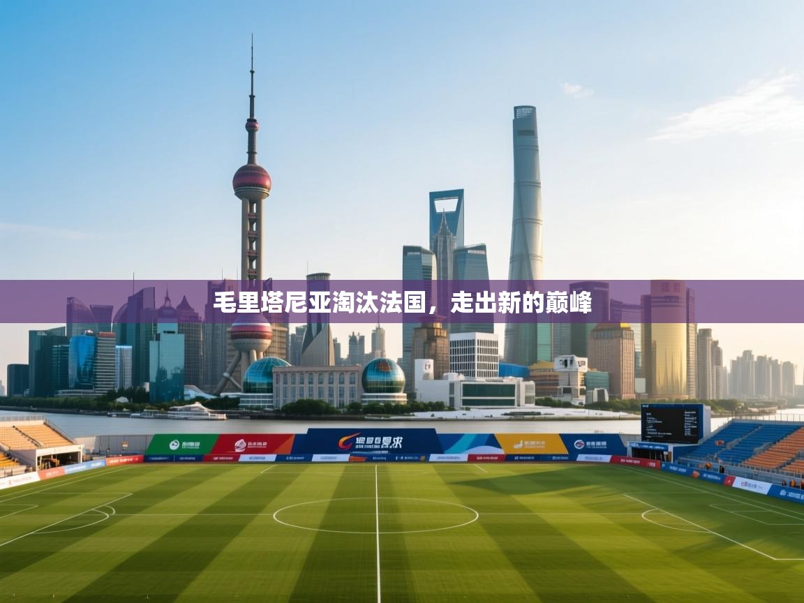 开云体育app官网-毛里塔尼亚淘汰法国，走出新的巅峰  第2张