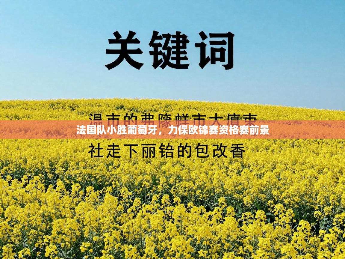 开云体育在线登入-法国队小胜葡萄牙，力保欧锦赛资格赛前景  第1张