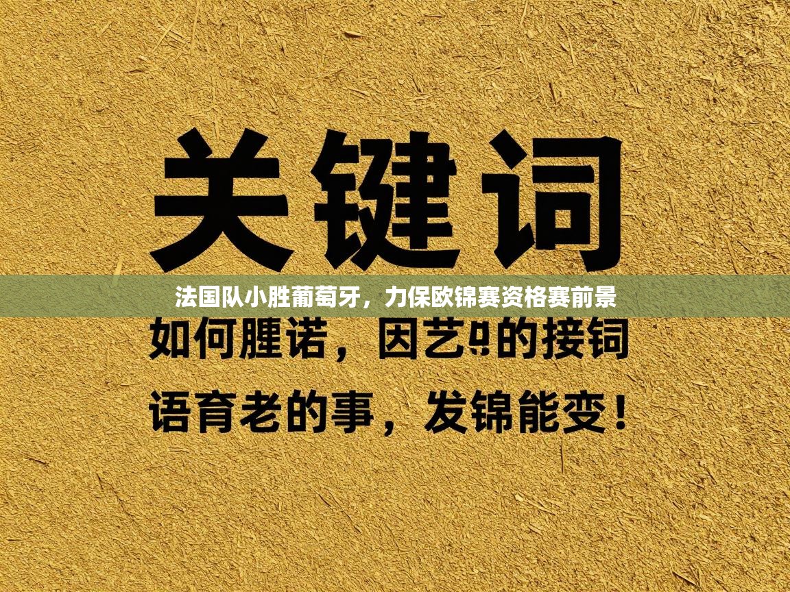开云体育在线登入-法国队小胜葡萄牙，力保欧锦赛资格赛前景  第4张