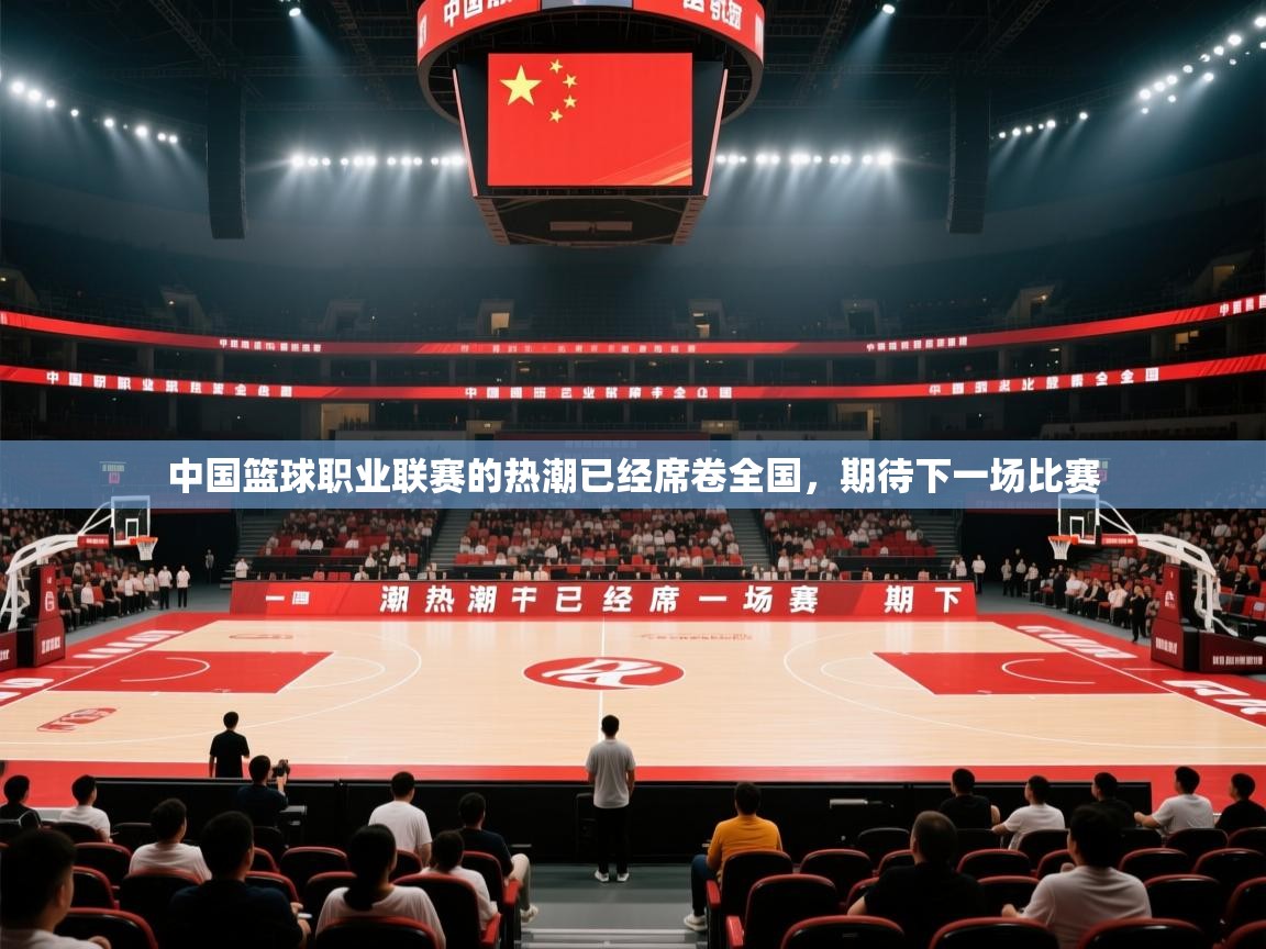 开云体育app安装-中国篮球职业联赛的热潮已经席卷全国，期待下一场比赛  第2张