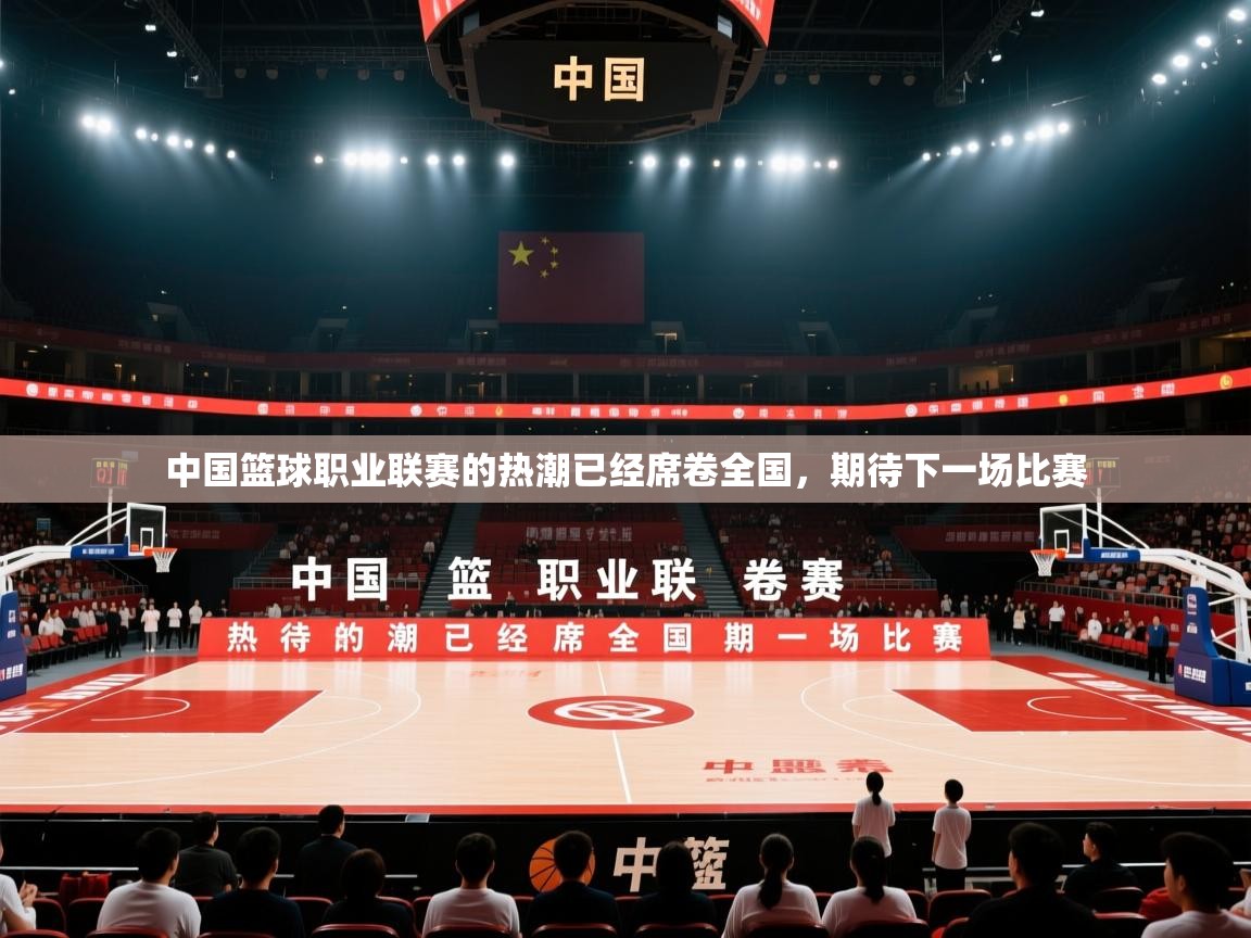 开云体育app安装-中国篮球职业联赛的热潮已经席卷全国，期待下一场比赛  第3张