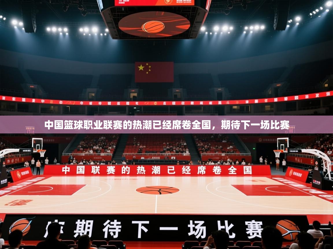 开云体育app安装-中国篮球职业联赛的热潮已经席卷全国，期待下一场比赛  第4张