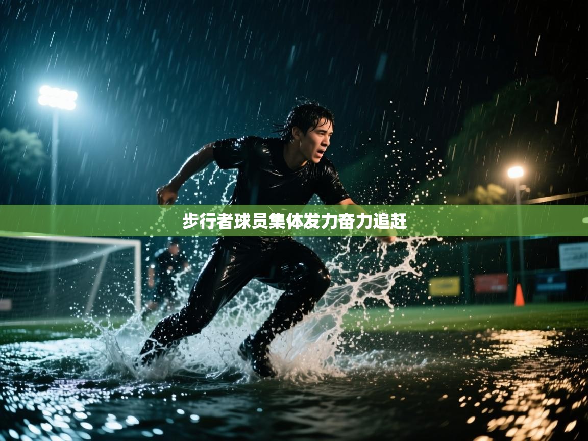 开云手机版-步行者球员集体发力奋力追赶  第2张