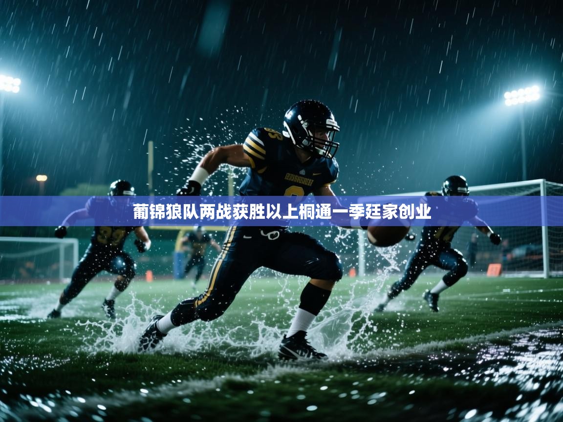 开云体育登录入口网址-葡锦狼队两战获胜以上桐通一季廷家创业  第2张