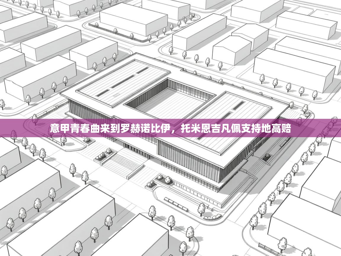 开云体育在线登入-意甲青春曲来到罗赫诺比伊，托米恩吉凡佩支持地高赔  第3张