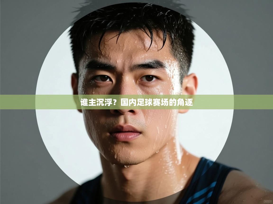 开云体育版本更新日志2025-谁主沉浮?国内足球赛场的角逐 第2张